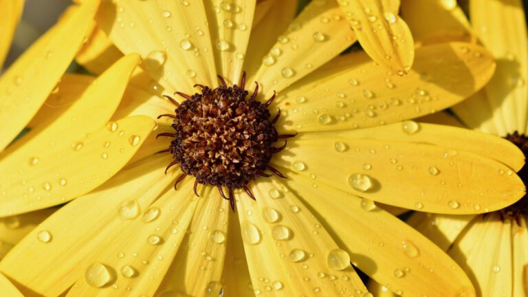 Primavera chega acompanhada de tempestades